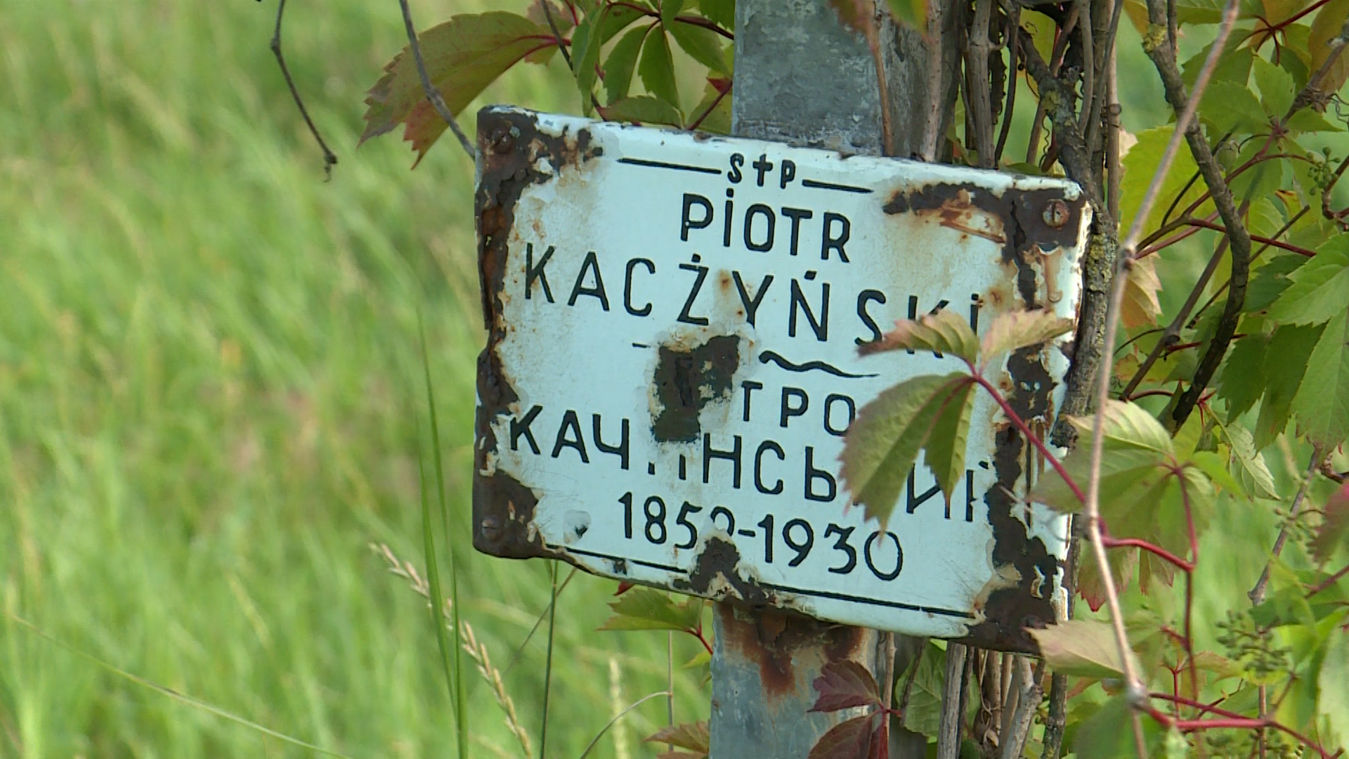 Read more about the article Polskie ślady na Kijowszczyźnie